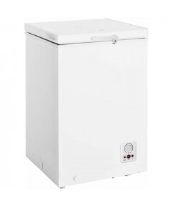 GORENJE FH10FPW-20008147 Καταψύκτες
